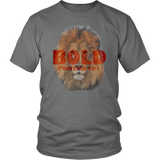 Bold as a Lion Proverbs 28:1